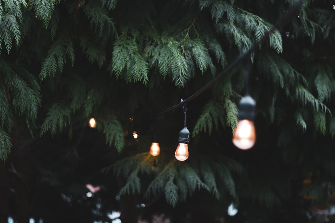 Photo Outdoor Lights